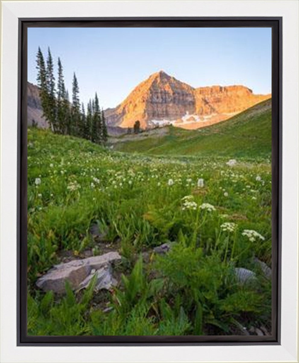 The Meadow Gallery Wrap