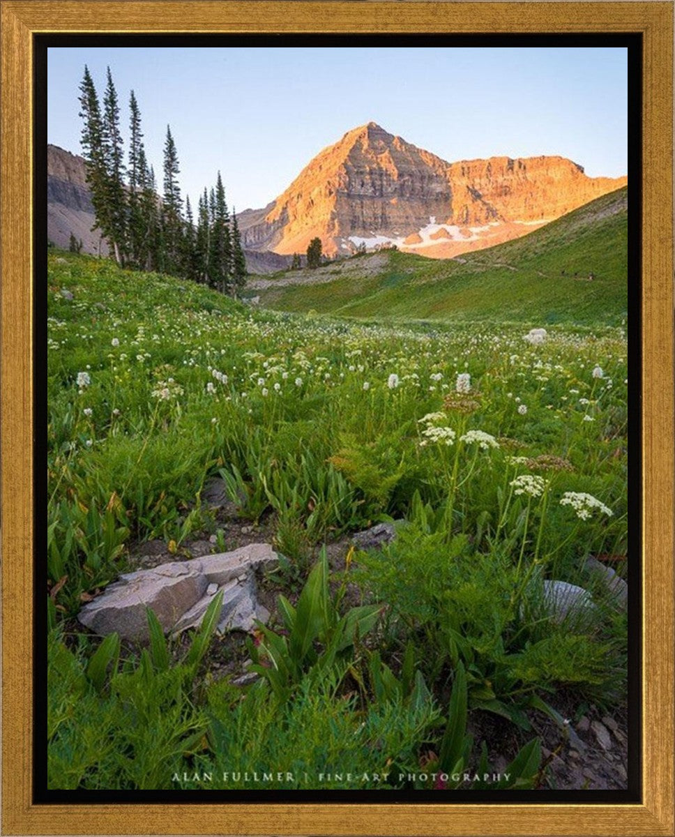 The Meadow Gallery Wrap