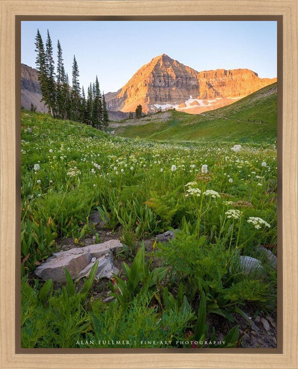 The Meadow Gallery Wrap