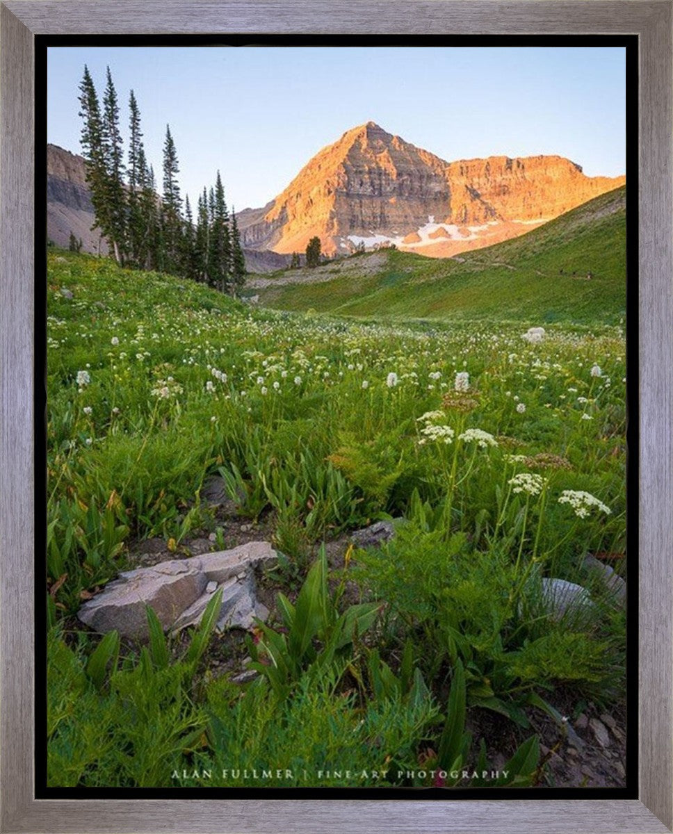 The Meadow Gallery Wrap