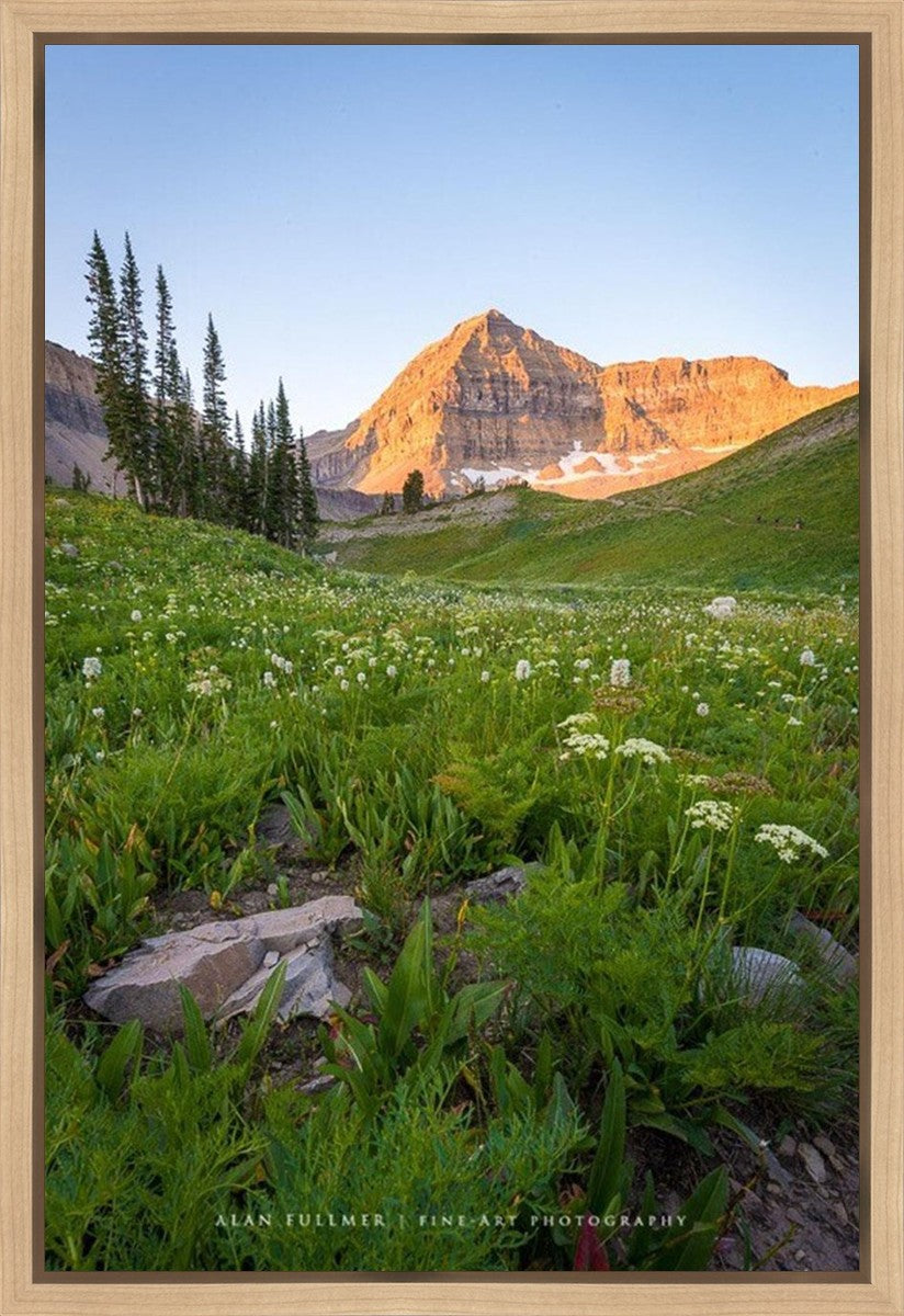 The Meadow Gallery Wrap