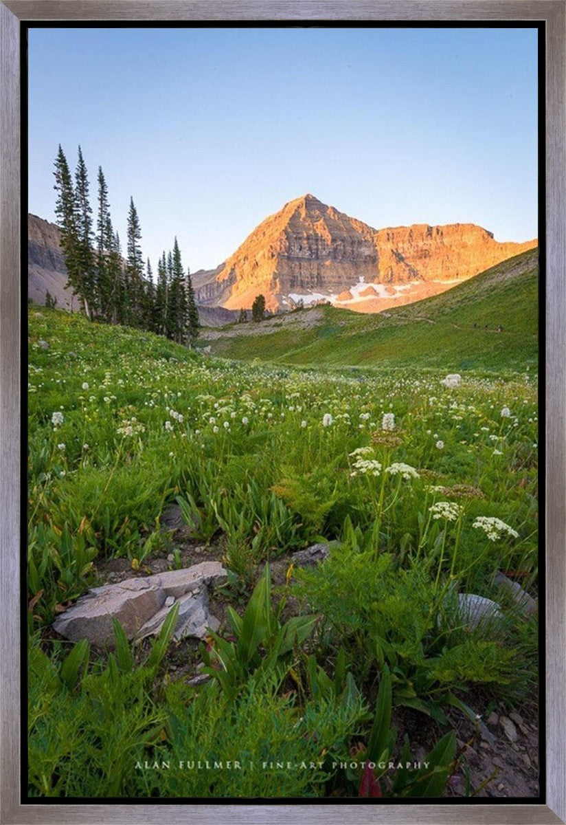 The Meadow Gallery Wrap