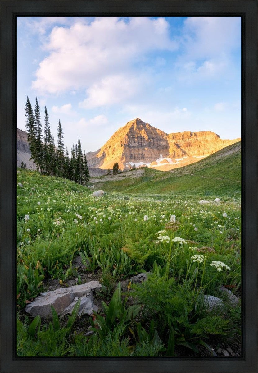 Timpanogos Meadow Gallery Wrap