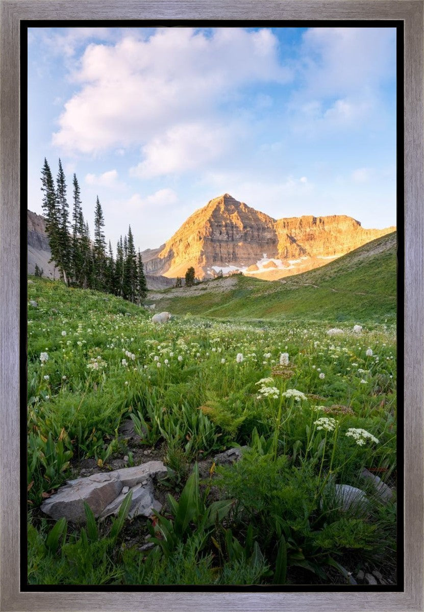 Timpanogos Meadow Gallery Wrap