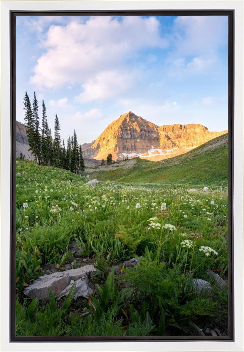 Timpanogos Meadow Gallery Wrap