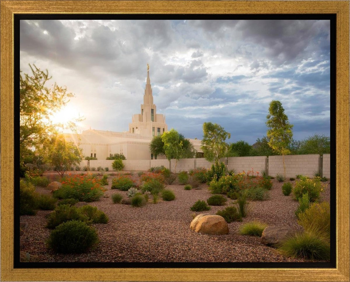 Phoenix Sun Gallery Wrap
