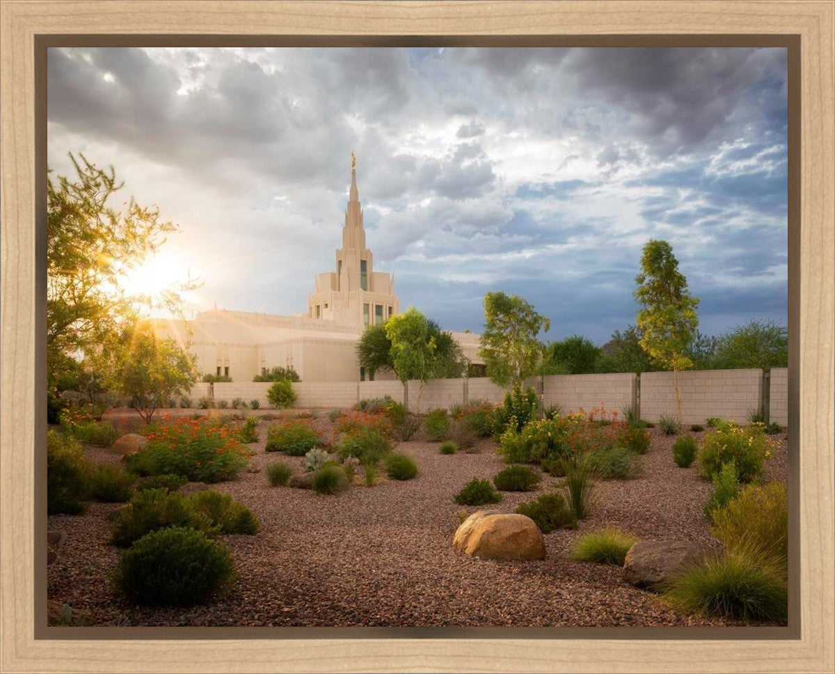 Phoenix Sun Gallery Wrap