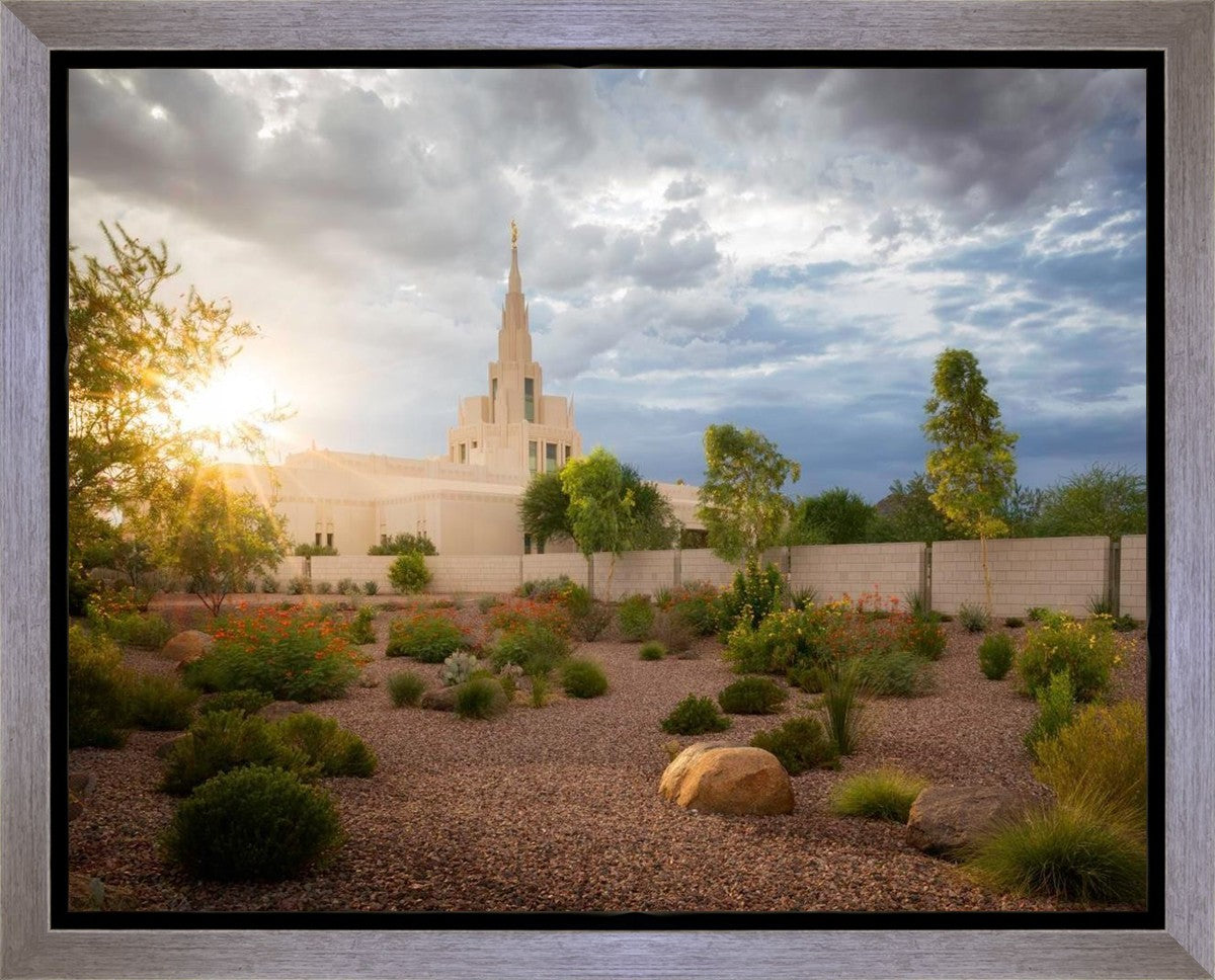 Phoenix Sun Gallery Wrap