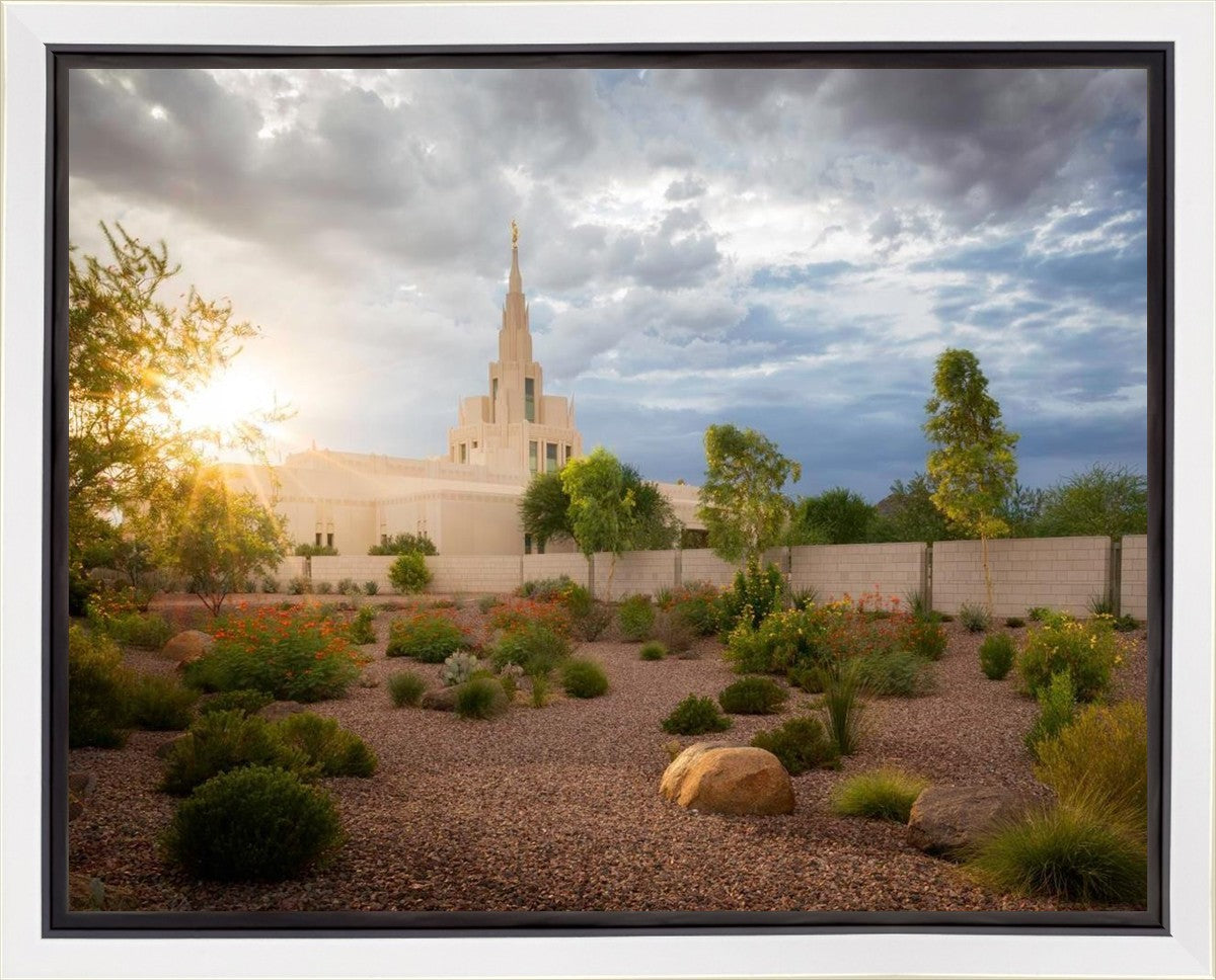 Phoenix Sun Gallery Wrap