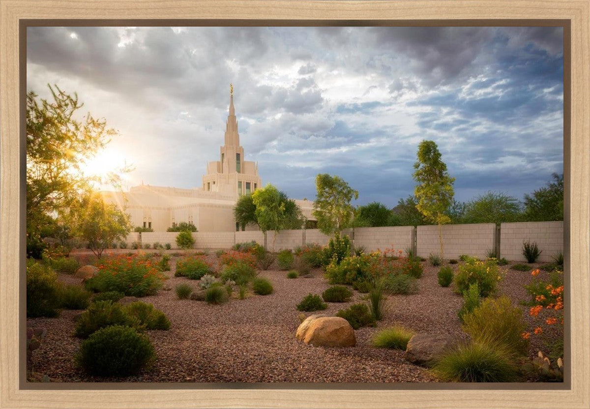 Phoenix Sun Gallery Wrap