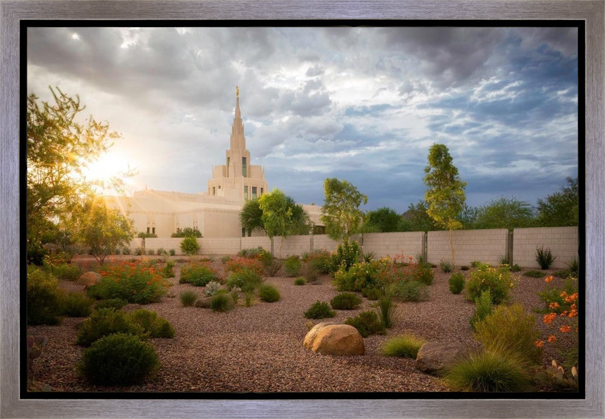 Phoenix Sun Gallery Wrap