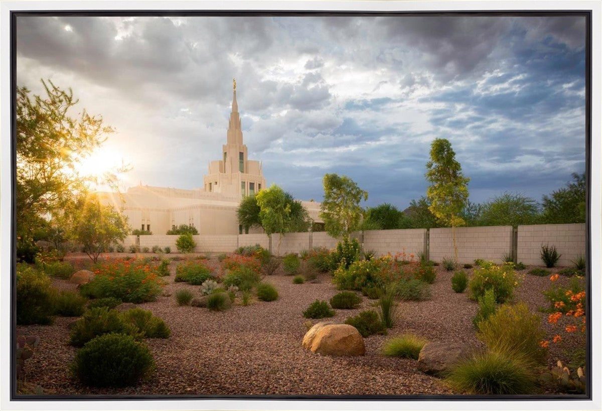 Phoenix Sun Gallery Wrap