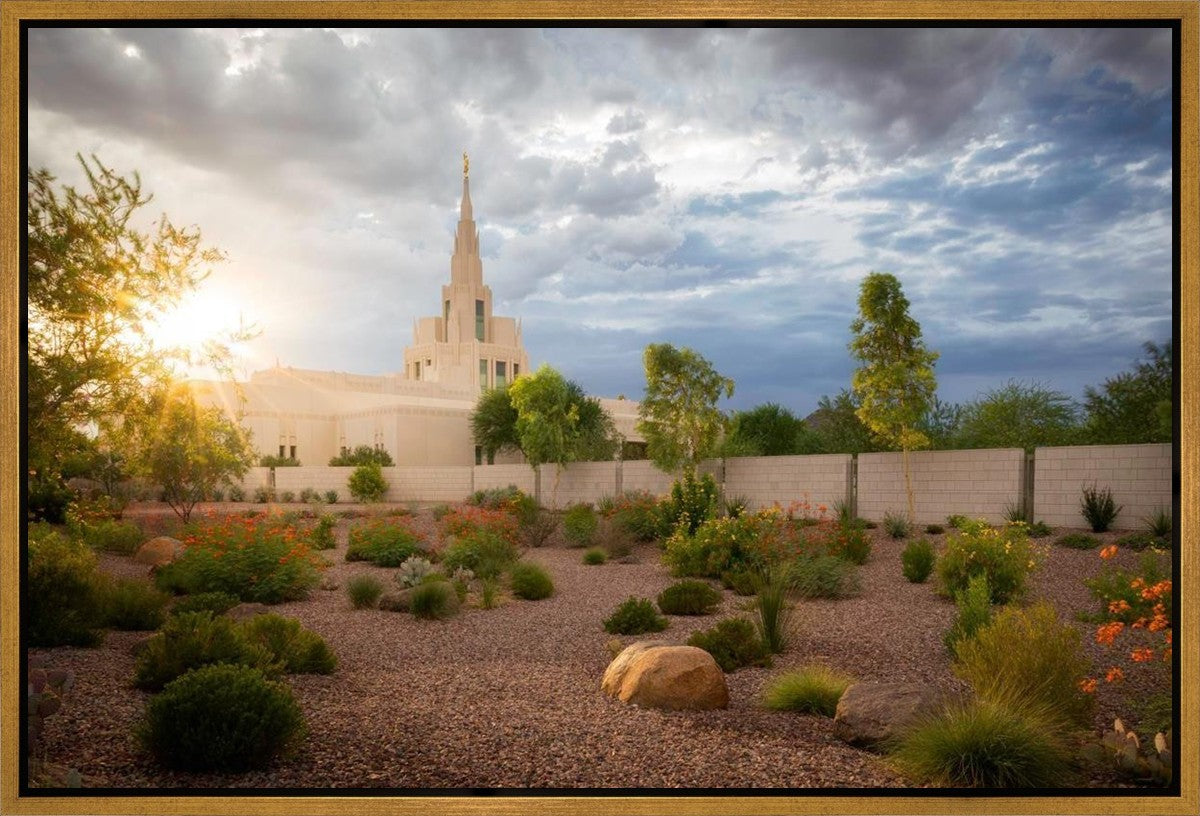 Phoenix Sun Gallery Wrap
