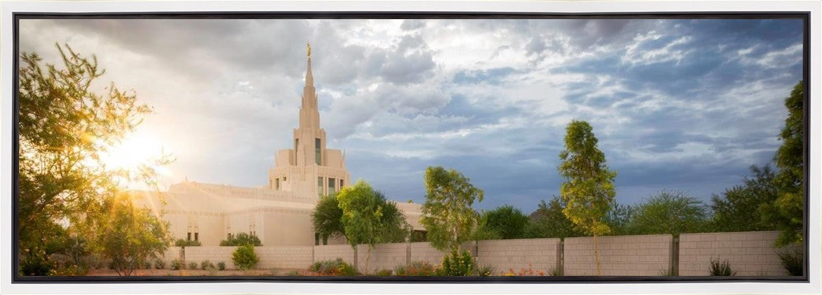 Phoenix Sun Gallery Wrap