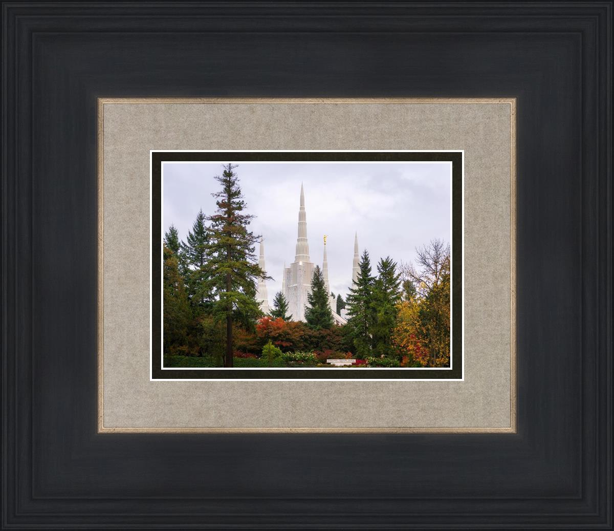 Portland Temple Forest Through The Trees