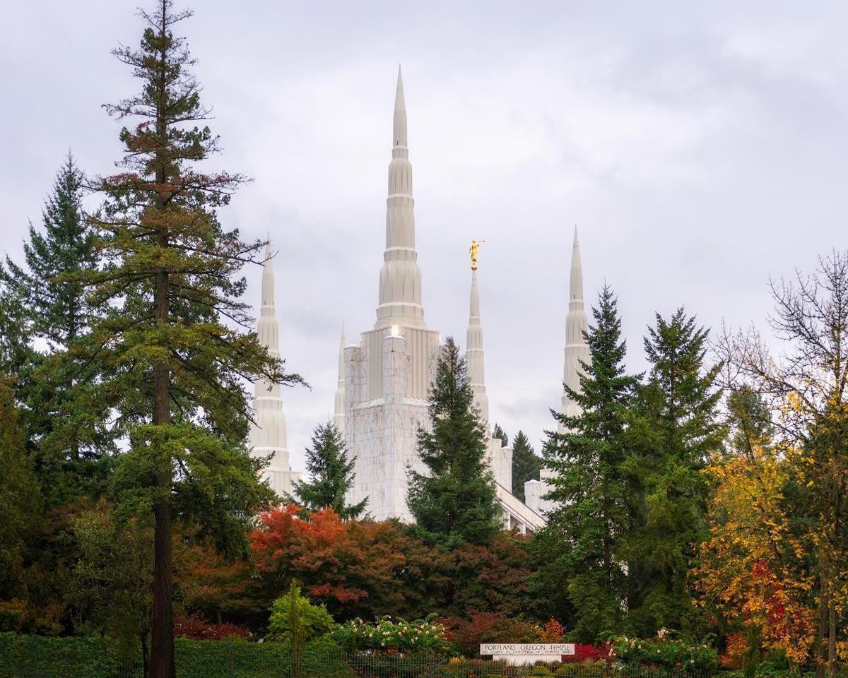 Portland Temple Forest Through The Trees Gallery Wrap