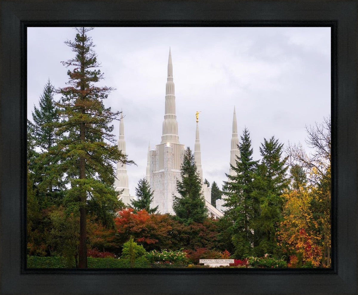 Portland Temple Forest Through The Trees Gallery Wrap