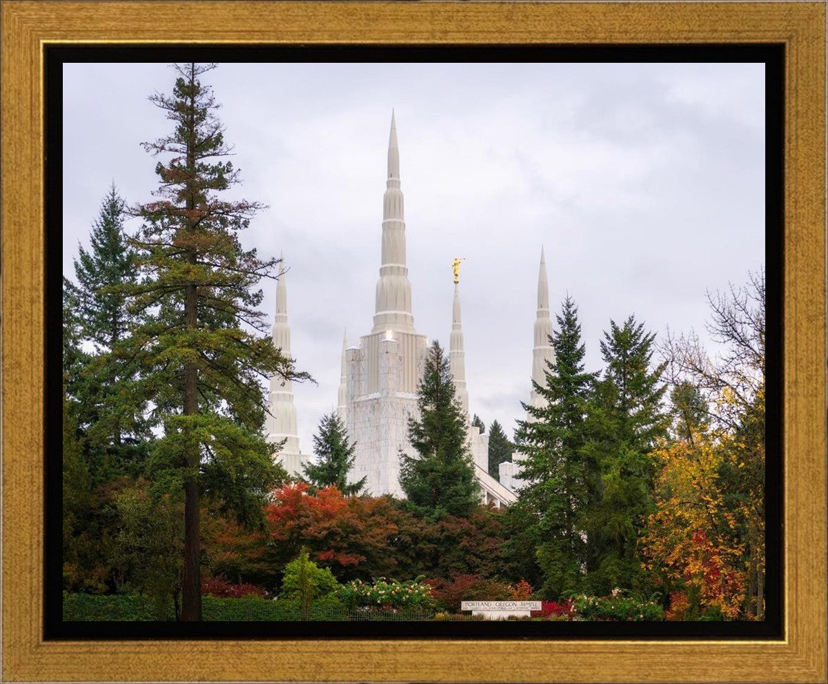 Portland Temple Forest Through The Trees Gallery Wrap