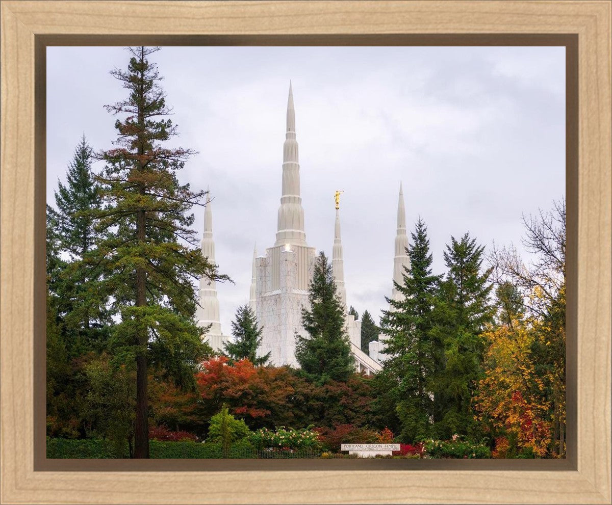 Portland Temple Forest Through The Trees Gallery Wrap