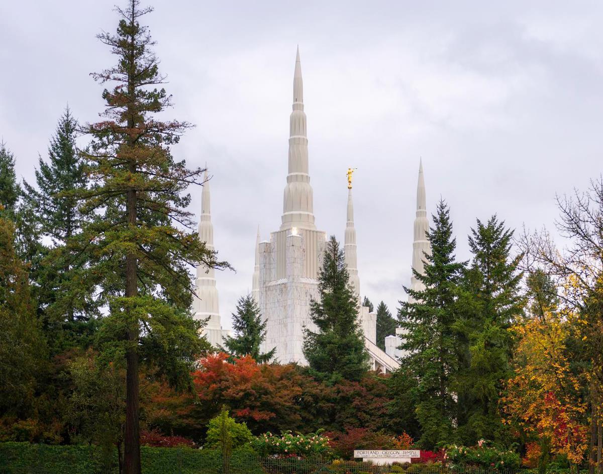 Portland Temple Forest Through The Trees