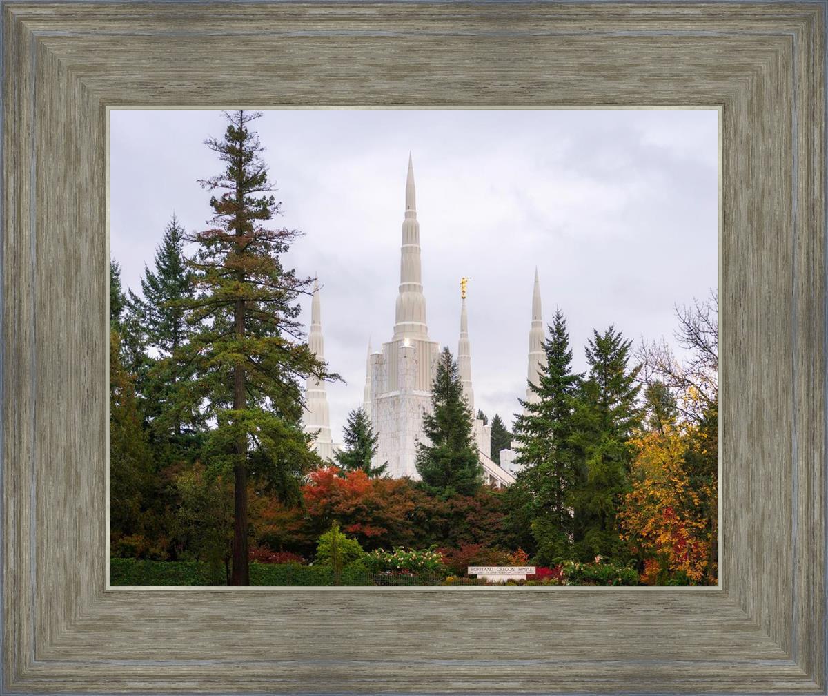 Portland Temple Forest Through The Trees