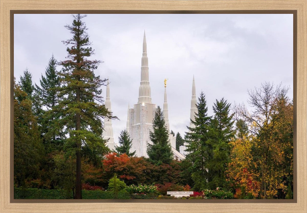 Portland Temple Forest Through The Trees Gallery Wrap