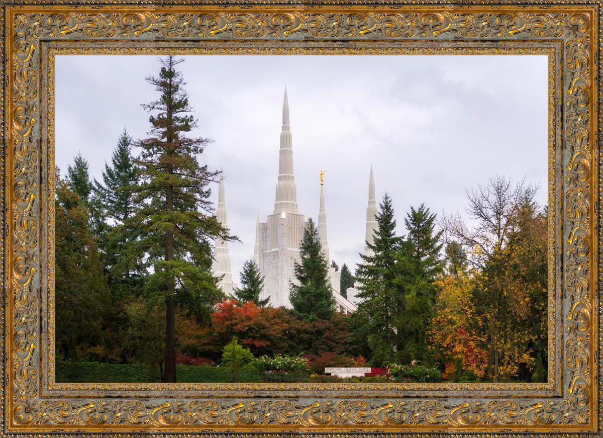 Portland Temple Forest Through The Trees