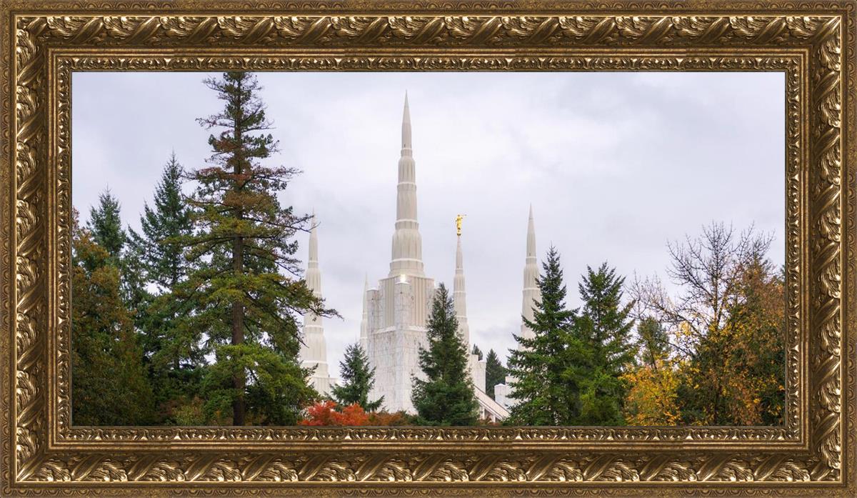 Portland Temple Forest Through The Trees
