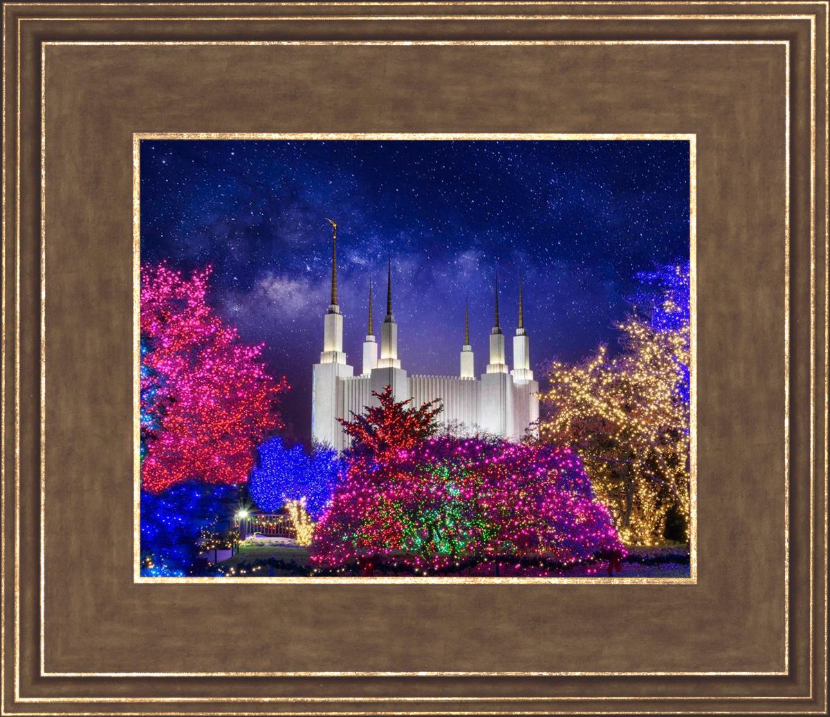 Washington DC Temple Christmas Lights