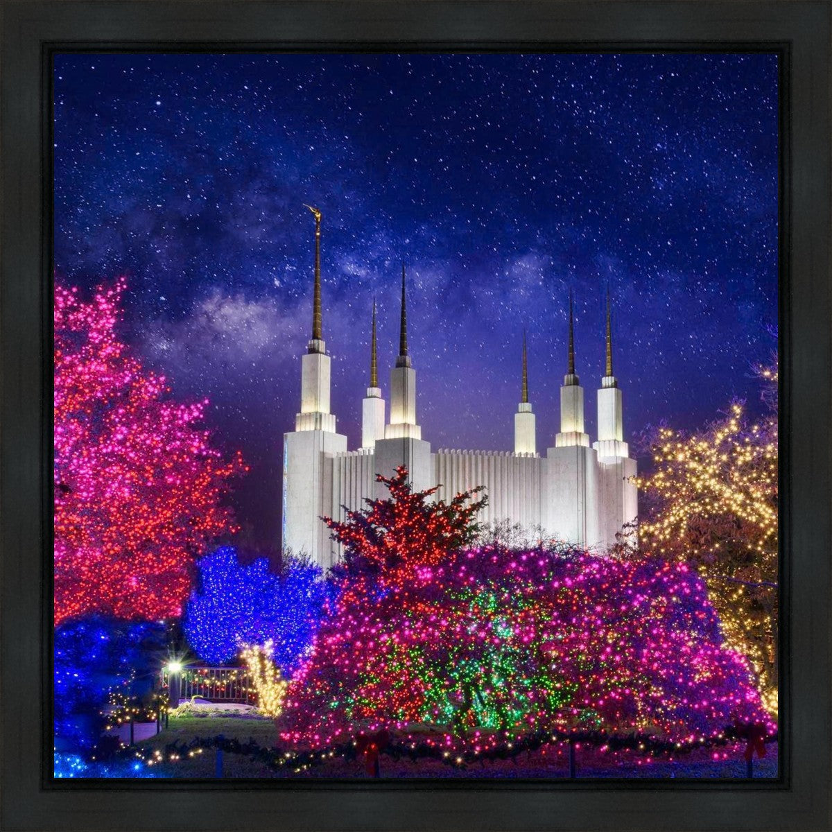 Washington DC Temple Christmas Lights Gallery Wrap