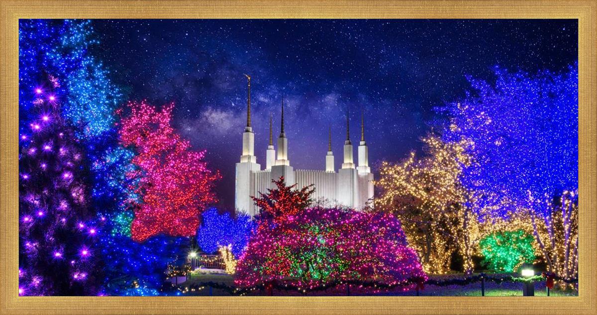 Washington DC Temple Christmas Lights