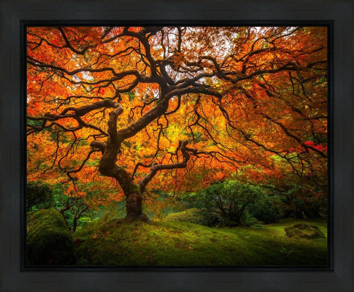 Tree of Perspective Gallery Wrap