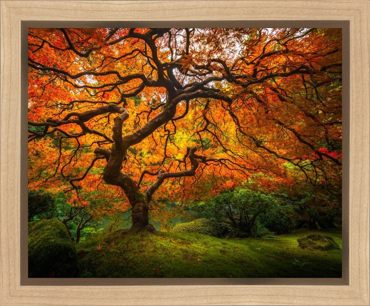 Tree of Perspective Gallery Wrap