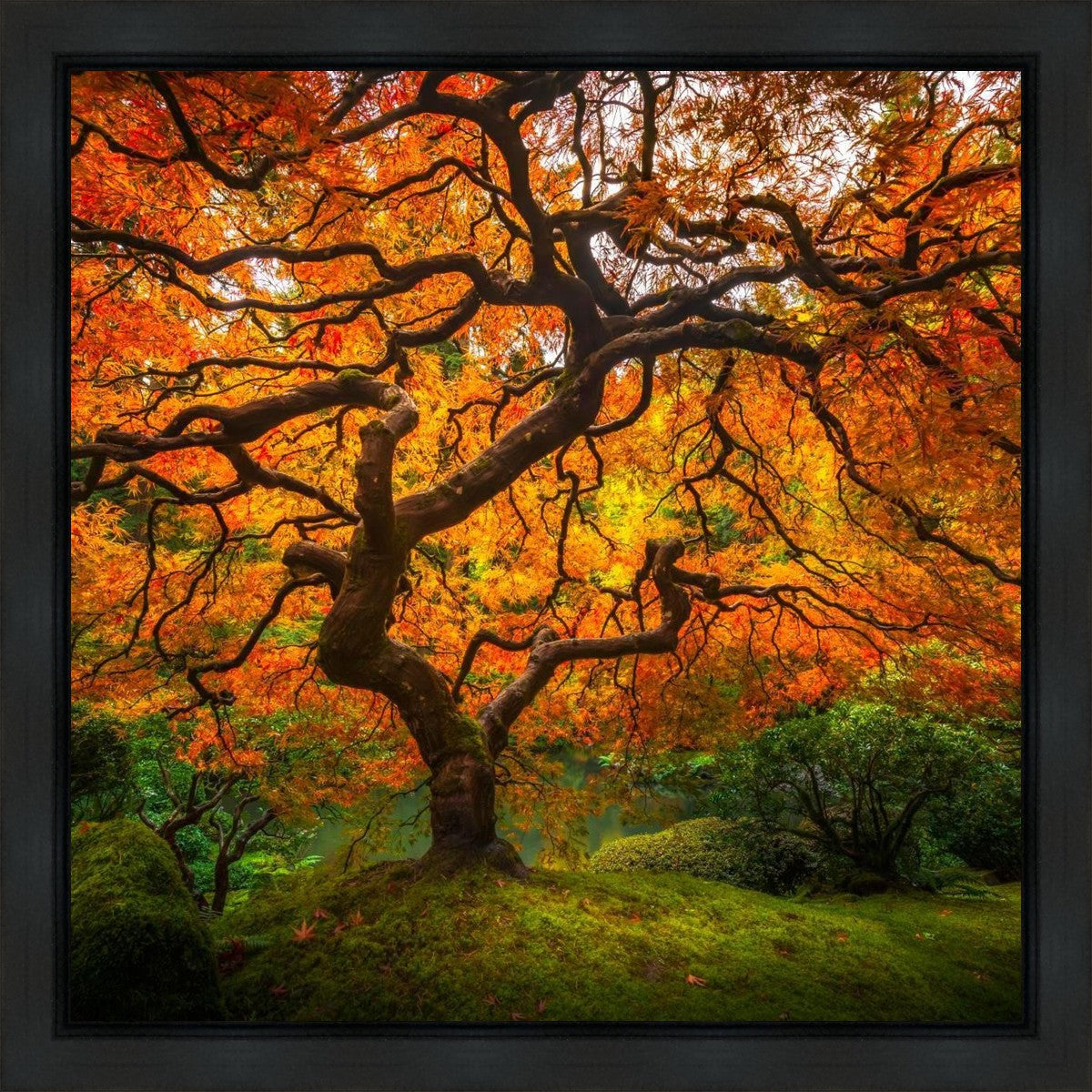 Tree of Perspective Gallery Wrap