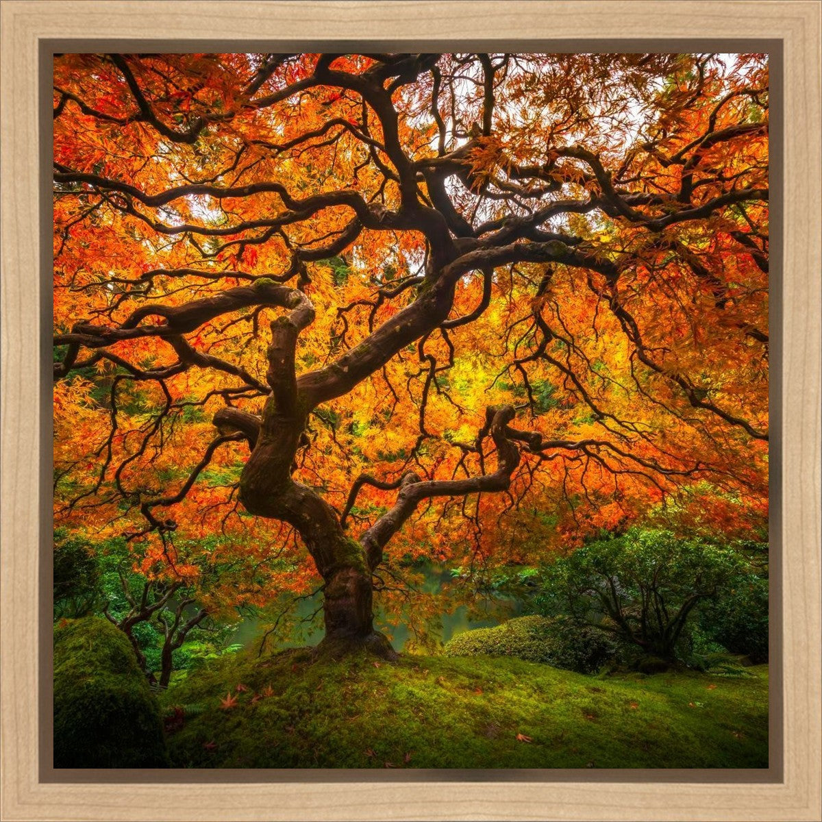 Tree of Perspective Gallery Wrap