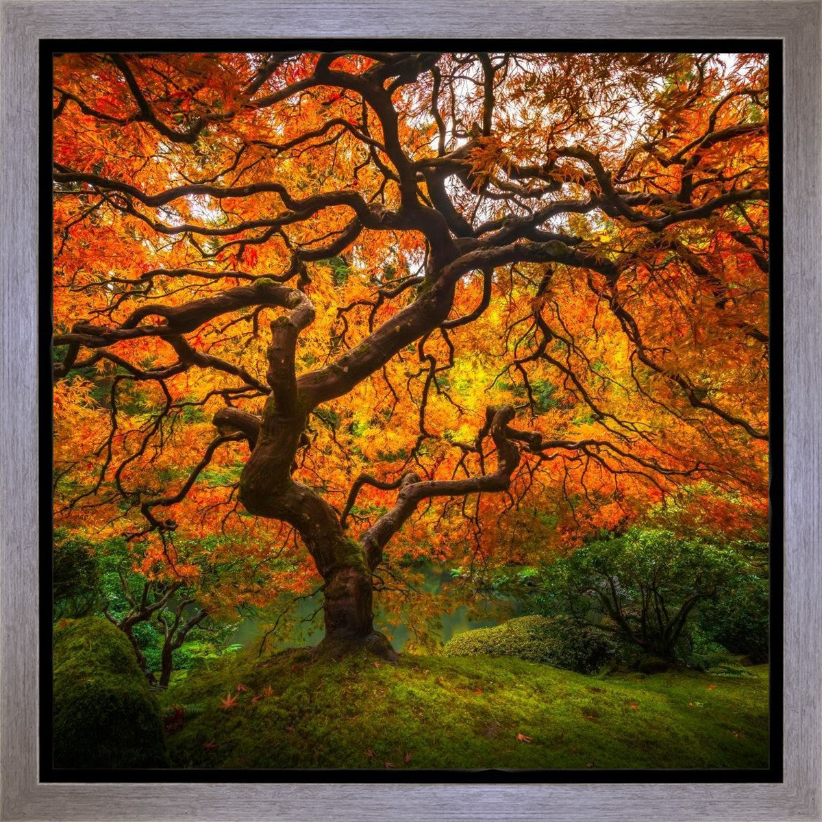 Tree of Perspective Gallery Wrap