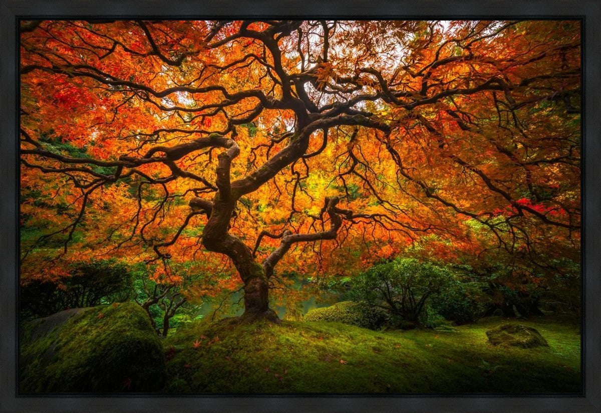Tree of Perspective Gallery Wrap