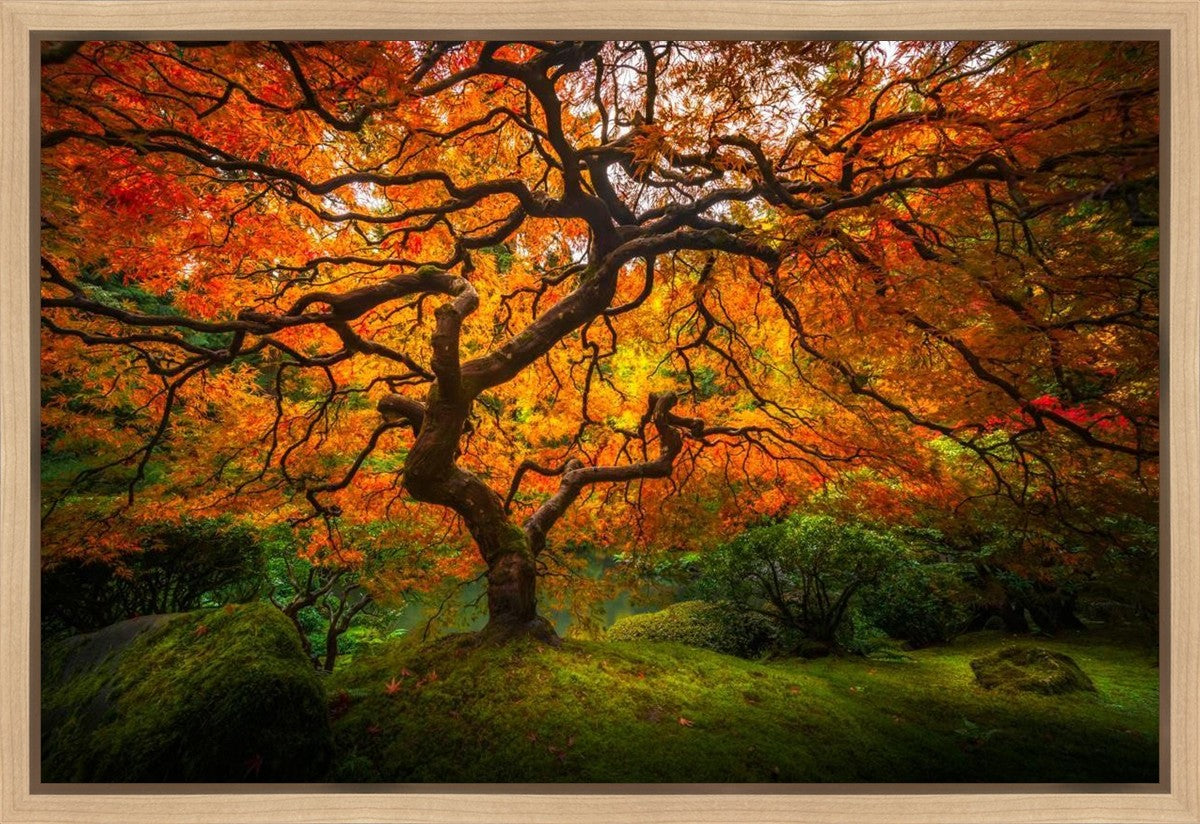 Tree of Perspective Gallery Wrap