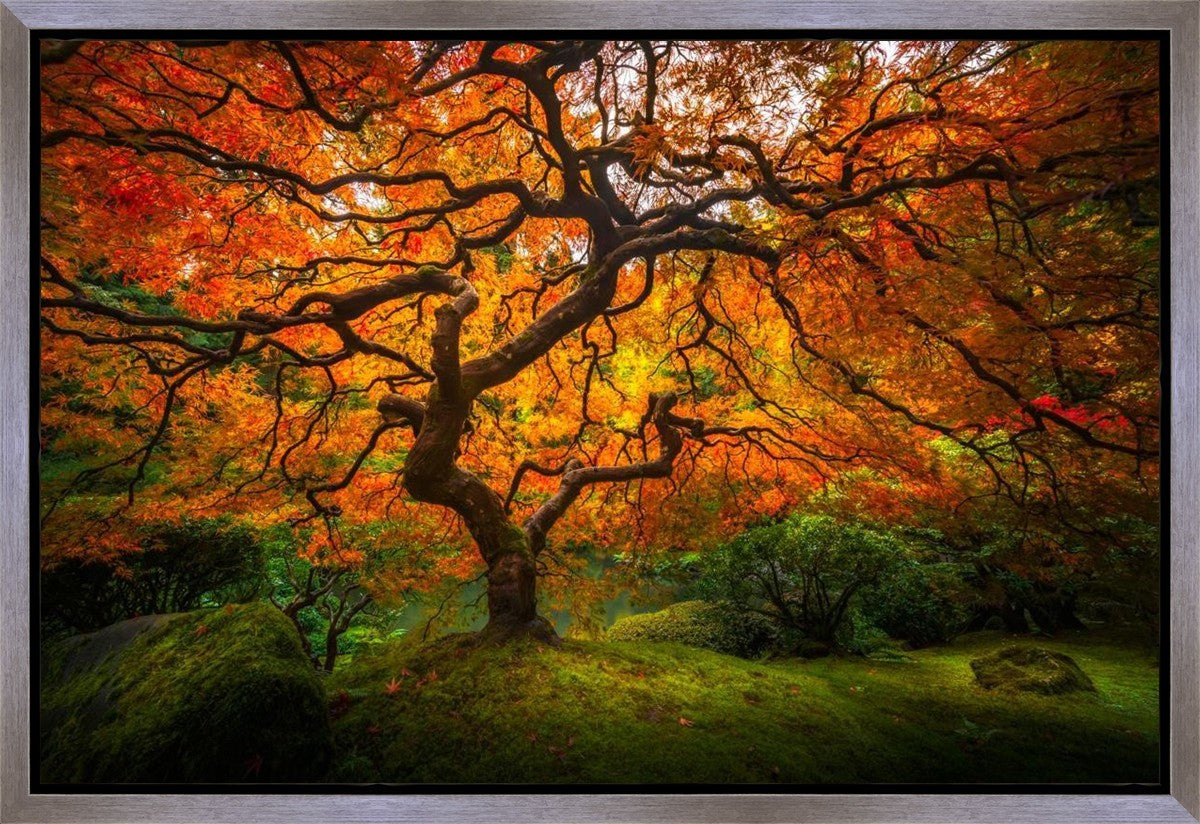 Tree of Perspective Gallery Wrap