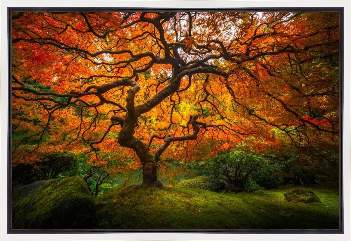 Tree of Perspective Gallery Wrap