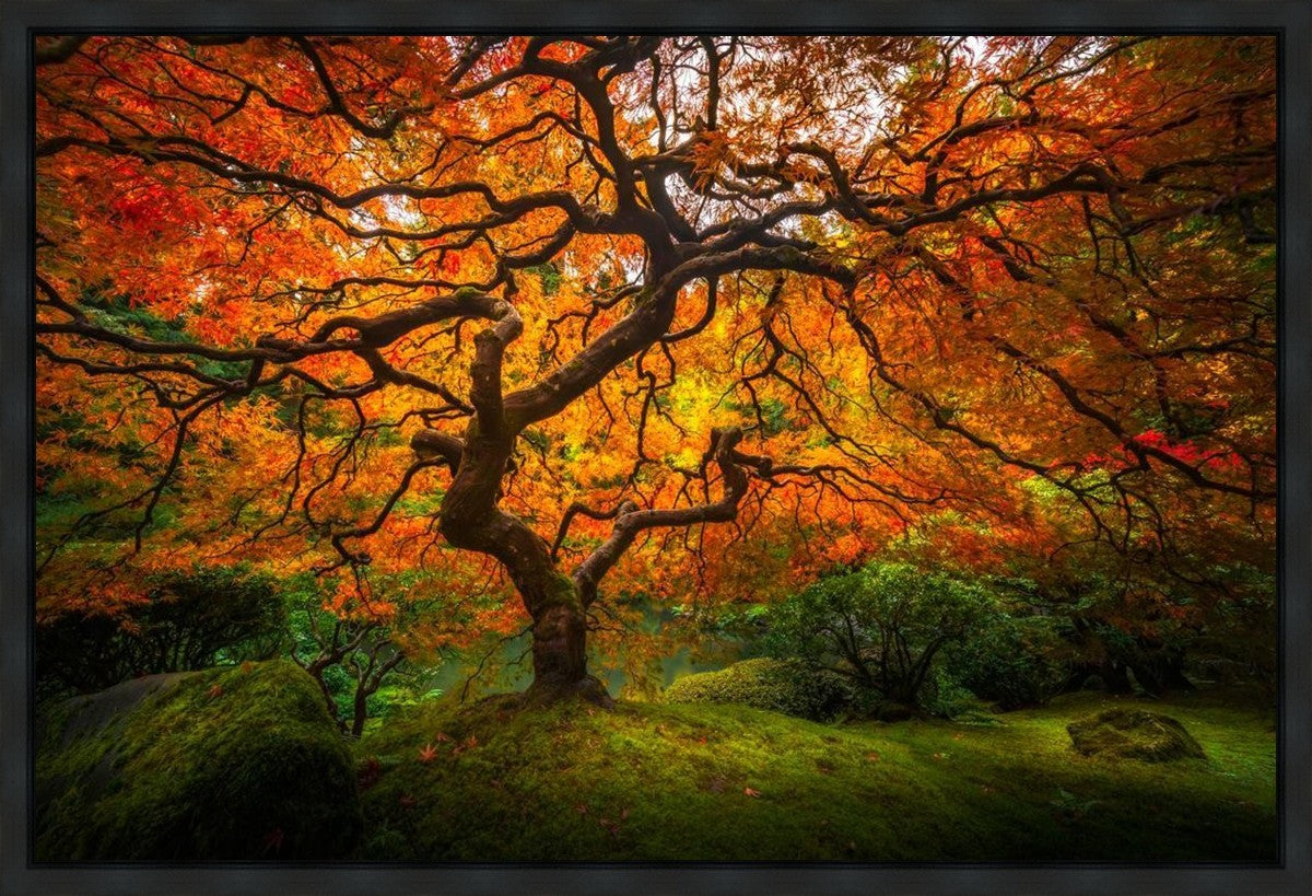 Tree of Perspective Gallery Wrap