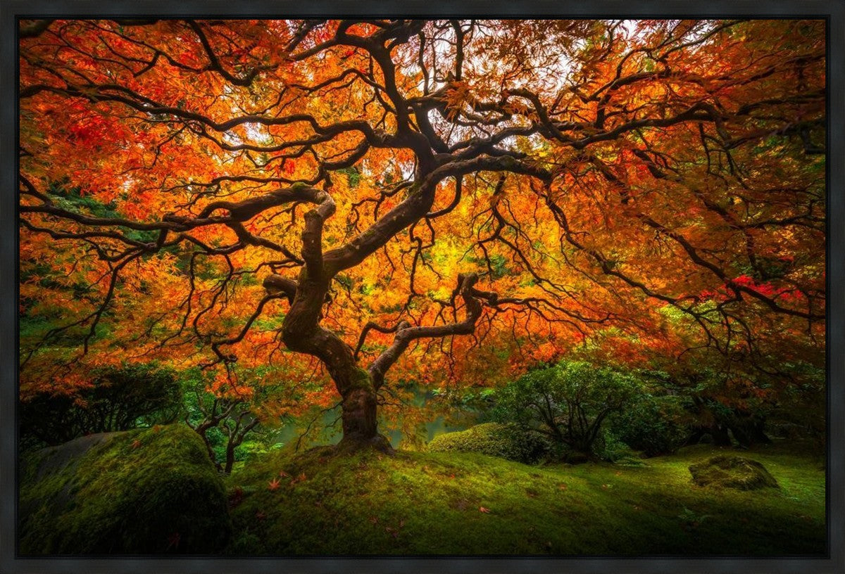 Tree of Perspective Gallery Wrap