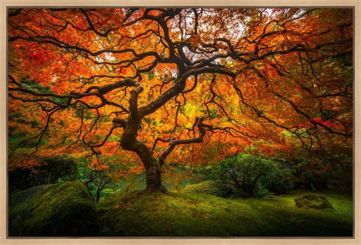 Tree of Perspective Gallery Wrap