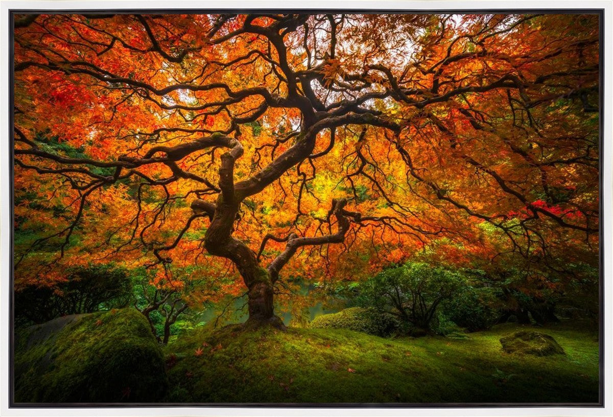 Tree of Perspective Gallery Wrap