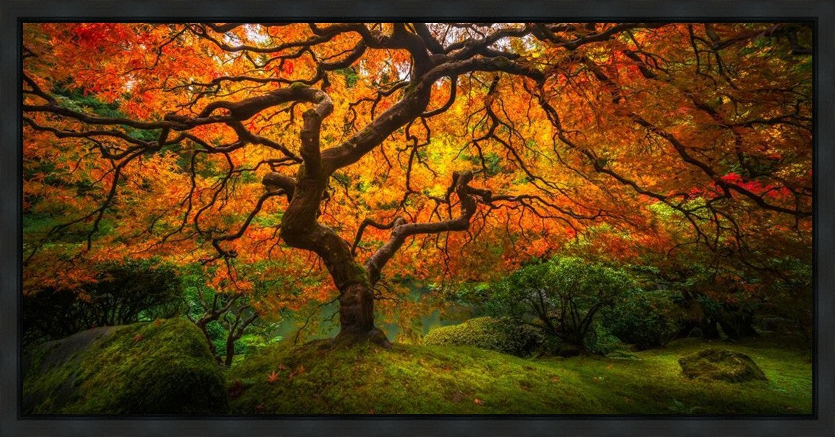 Tree of Perspective Gallery Wrap