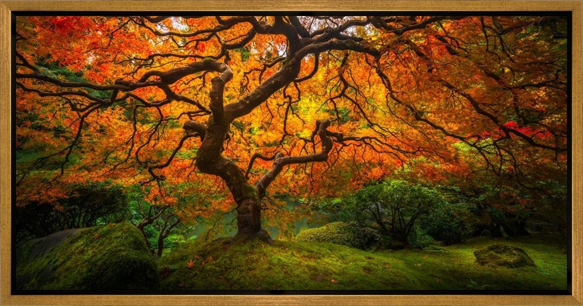 Tree of Perspective Gallery Wrap