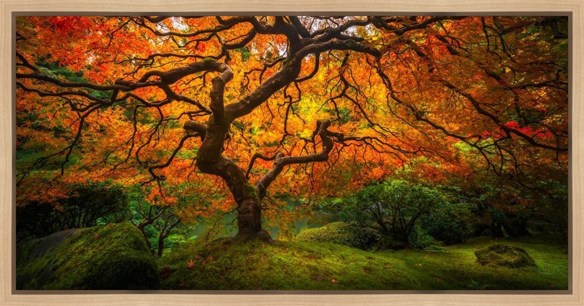 Tree of Perspective Gallery Wrap