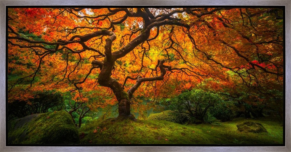Tree of Perspective Gallery Wrap