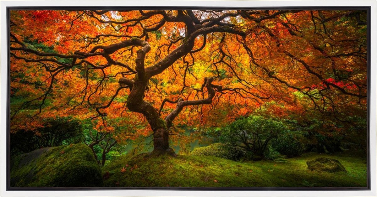 Tree of Perspective Gallery Wrap