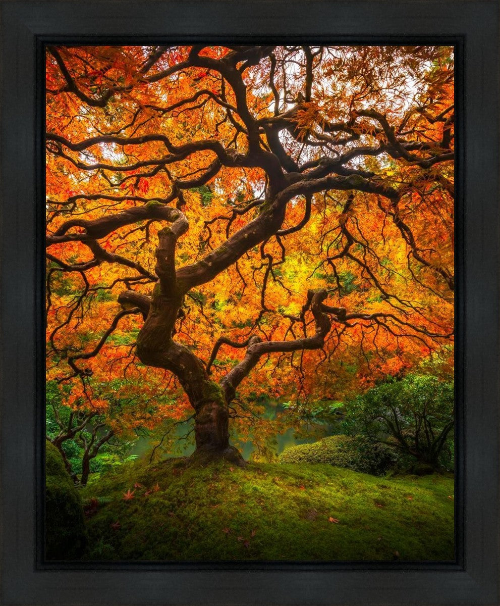 Tree of Perspective Vertical Gallery Wrap